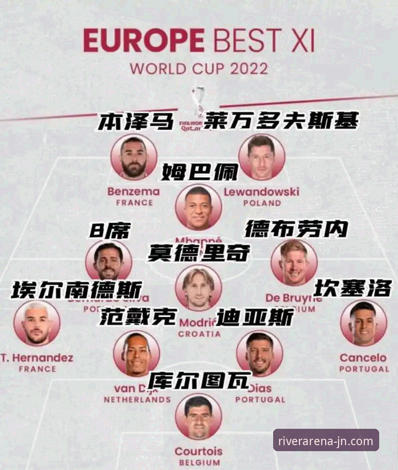 揭秘阿根廷世界杯前折损锋线新星的真相与观赛新体验